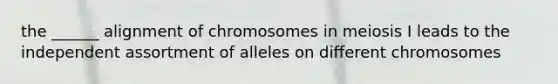 the ______ alignment of chromosomes in meiosis I leads to the independent assortment of alleles on different chromosomes