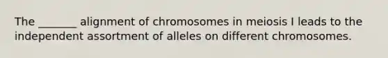 The _______ alignment of chromosomes in meiosis I leads to the independent assortment of alleles on different chromosomes.