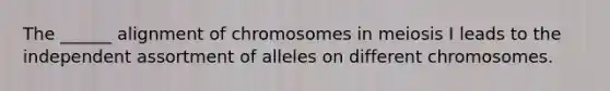 The ______ alignment of chromosomes in meiosis I leads to the independent assortment of alleles on different chromosomes.