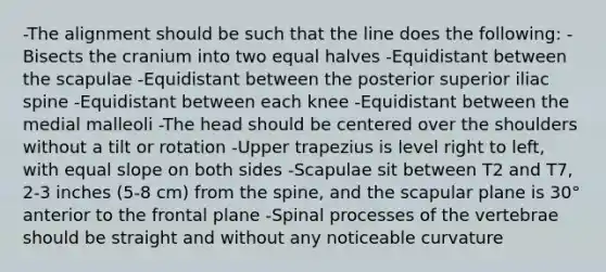 -The alignment should be such that the line does the following: -Bisects the cranium into two equal halves -Equidistant between the scapulae -Equidistant between the posterior superior iliac spine -Equidistant between each knee -Equidistant between the medial malleoli -The head should be centered over the shoulders without a tilt or rotation -Upper trapezius is level right to left, with equal slope on both sides -Scapulae sit between T2 and T7, 2-3 inches (5-8 cm) from the spine, and the scapular plane is 30° anterior to the frontal plane -Spinal processes of the vertebrae should be straight and without any noticeable curvature