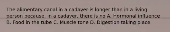 The alimentary canal in a cadaver is longer than in a living person because, in a cadaver, there is no A. Hormonal influence B. Food in the tube C. Muscle tone D. Digestion taking place