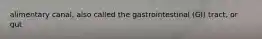 alimentary canal, also called the gastrointestinal (GI) tract, or gut