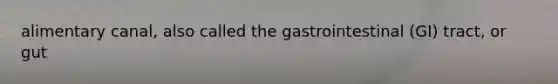 alimentary canal, also called the gastrointestinal (GI) tract, or gut