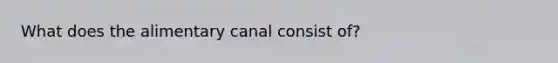 What does the alimentary canal consist of?