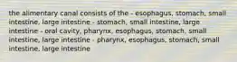 the alimentary canal consists of the - esophagus, stomach, small intestine, large intestine - stomach, small intestine, large intestine - oral cavity, pharynx, esophagus, stomach, small intestine, large intestine - pharynx, esophagus, stomach, small intestine, large intestine