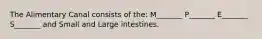 The Alimentary Canal consists of the: M_______ P_______ E_______ S_______ and Small and Large intestines.