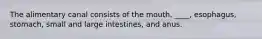 The alimentary canal consists of the mouth, ____, esophagus, stomach, small and large intestines, and anus.