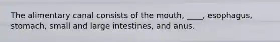 The alimentary canal consists of <a href='https://www.questionai.com/knowledge/krBoWYDU6j-the-mouth' class='anchor-knowledge'>the mouth</a>, ____, esophagus, stomach, small and large intestines, and anus.