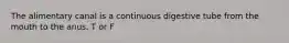 The alimentary canal is a continuous digestive tube from the mouth to the anus. T or F