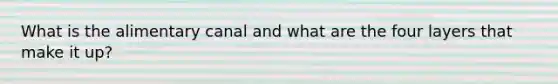 What is the alimentary canal and what are the four layers that make it up?