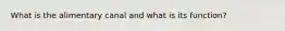 What is the alimentary canal and what is its function?