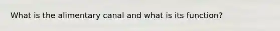 What is the alimentary canal and what is its function?