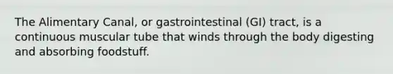 The Alimentary Canal, or gastrointestinal (GI) tract, is a continuous muscular tube that winds through the body digesting and absorbing foodstuff.