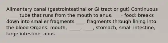 Alimentary canal (gastrointestinal or GI tract or gut) Continuous _____ tube that runs from the mouth to anus. ___- food: breaks down into smaller fragments ____ fragments through lining into the blood Organs: mouth, _____, ____, stomach, small intestine, large intestine, anus