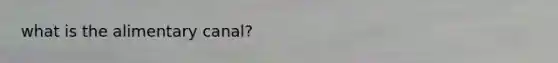 what is the alimentary canal?