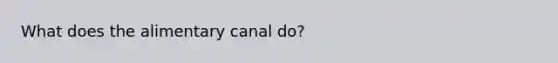 What does the alimentary canal do?