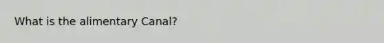 What is the alimentary Canal?