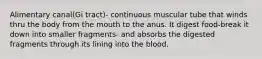 Alimentary canal(Gi tract)- continuous muscular tube that winds thru the body from the mouth to the anus. It digest food-break it down into smaller fragments- and absorbs the digested fragments through its lining into the blood.