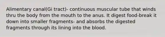 Alimentary canal(Gi tract)- continuous muscular tube that winds thru the body from the mouth to the anus. It digest food-break it down into smaller fragments- and absorbs the digested fragments through its lining into the blood.