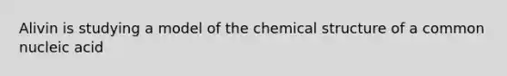 Alivin is studying a model of the chemical structure of a common nucleic acid