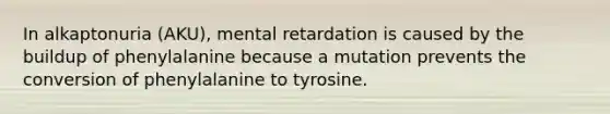 In alkaptonuria (AKU), mental retardation is caused by the buildup of phenylalanine because a mutation prevents the conversion of phenylalanine to tyrosine.