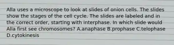 Alla uses a microscope to look at slides of onion cells. The slides show the stages of the cell cycle. The slides are labeled and in the correct order, starting with interphase. In which slide would Alla first see chromosomes? A.anaphase B.prophase C.telophase D.cytokinesis