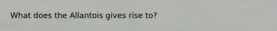 What does the Allantois gives rise to?