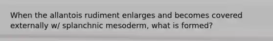 When the allantois rudiment enlarges and becomes covered externally w/ splanchnic mesoderm, what is formed?