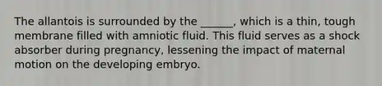 The allantois is surrounded by the ______, which is a thin, tough membrane filled with amniotic fluid. This fluid serves as a shock absorber during pregnancy, lessening the impact of maternal motion on the developing embryo.