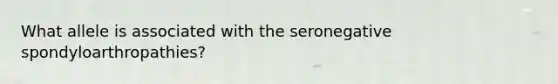 What allele is associated with the seronegative spondyloarthropathies?