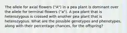 The allele for axial flowers ("A") in a pea plant is dominant over the allele for terminal flowers ("a"). A pea plant that is heterozygous is crossed with another pea plant that is heterozygous. What are the possible genotypes and phenotypes, along with their percentage chances, for the offspring?