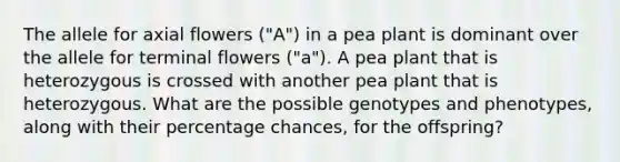 The allele for axial flowers ("A") in a pea plant is dominant over the allele for terminal flowers ("a"). A pea plant that is heterozygous is crossed with another pea plant that is heterozygous. What are the possible genotypes and phenotypes, along with their percentage chances, for the offspring?