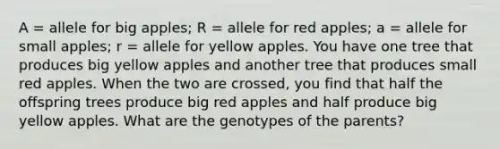 A = allele for big apples; R = allele for red apples; a = allele for small apples; r = allele for yellow apples. You have one tree that produces big yellow apples and another tree that produces small red apples. When the two are crossed, you find that half the offspring trees produce big red apples and half produce big yellow apples. What are the genotypes of the parents?