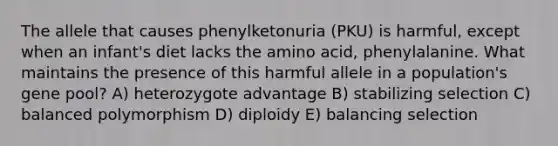 The allele that causes phenylketonuria (PKU) is harmful, except when an infant's diet lacks the amino acid, phenylalanine. What maintains the presence of this harmful allele in a population's gene pool? A) heterozygote advantage B) stabilizing selection C) balanced polymorphism D) diploidy E) balancing selection