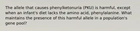 The allele that causes phenylketonuria (PKU) is harmful, except when an infant's diet lacks the amino acid, phenylalanine. What maintains the presence of this harmful allele in a population's gene pool?