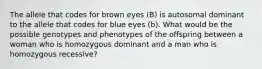 The allele that codes for brown eyes (B) is autosomal dominant to the allele that codes for blue eyes (b). What would be the possible genotypes and phenotypes of the offspring between a woman who is homozygous dominant and a man who is homozygous recessive?