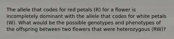 The allele that codes for red petals (R) for a flower is incompletely dominant with the allele that codes for white petals (W). What would be the possible genotypes and phenotypes of the offspring between two flowers that were heterozygous (RW)?