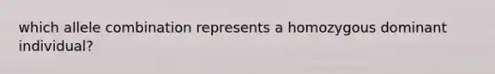 which allele combination represents a homozygous dominant individual?