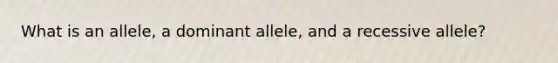 What is an allele, a dominant allele, and a recessive allele?