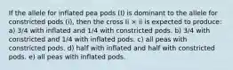 If the allele for inflated pea pods (I) is dominant to the allele for constricted pods (i), then the cross Ii × ii is expected to produce: a) 3/4 with inflated and 1/4 with constricted pods. b) 3/4 with constricted and 1/4 with inflated pods. c) all peas with constricted pods. d) half with inflated and half with constricted pods. e) all peas with inflated pods.