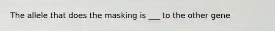 The allele that does the masking is ___ to the other gene