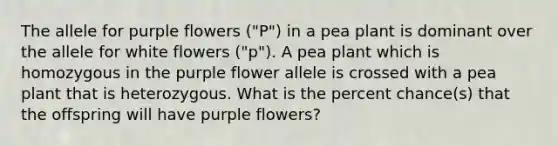 The allele for purple flowers ("P") in a pea plant is dominant over the allele for white flowers ("p"). A pea plant which is homozygous in the purple flower allele is crossed with a pea plant that is heterozygous. What is the percent chance(s) that the offspring will have purple flowers?