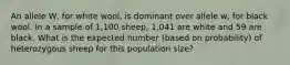 An allele W, for white wool, is dominant over allele w, for black wool. In a sample of 1,100 sheep, 1,041 are white and 59 are black. What is the expected number (based on probability) of heterozygous sheep for this population size?