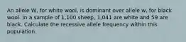 An allele W, for white wool, is dominant over allele w, for black wool. In a sample of 1,100 sheep, 1,041 are white and 59 are black. Calculate the recessive allele frequency within this population.