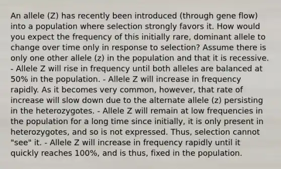 An allele (Z) has recently been introduced (through gene flow) into a population where selection strongly favors it. How would you expect the frequency of this initially rare, dominant allele to change over time only in response to selection? Assume there is only one other allele (z) in the population and that it is recessive. - Allele Z will rise in frequency until both alleles are balanced at 50% in the population. - Allele Z will increase in frequency rapidly. As it becomes very common, however, that rate of increase will slow down due to the alternate allele (z) persisting in the heterozygotes. - Allele Z will remain at low frequencies in the population for a long time since initially, it is only present in heterozygotes, and so is not expressed. Thus, selection cannot "see" it. - Allele Z will increase in frequency rapidly until it quickly reaches 100%, and is thus, fixed in the population.