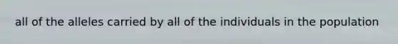 all of the alleles carried by all of the individuals in the population