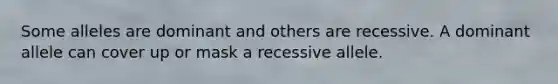 Some alleles are dominant and others are recessive. A dominant allele can cover up or mask a recessive allele.