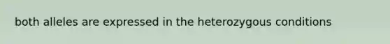 both alleles are expressed in the heterozygous conditions