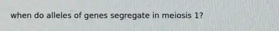 when do alleles of genes segregate in meiosis 1?