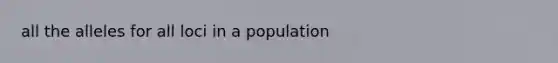 all the alleles for all loci in a population